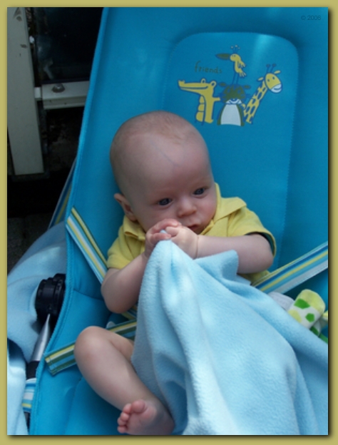 449x598 pixels (178K)